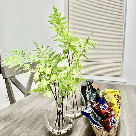 Cozy Evergreen Apartment By Newark Airport Extérieur photo